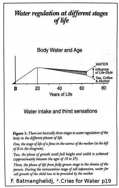 water reg stages